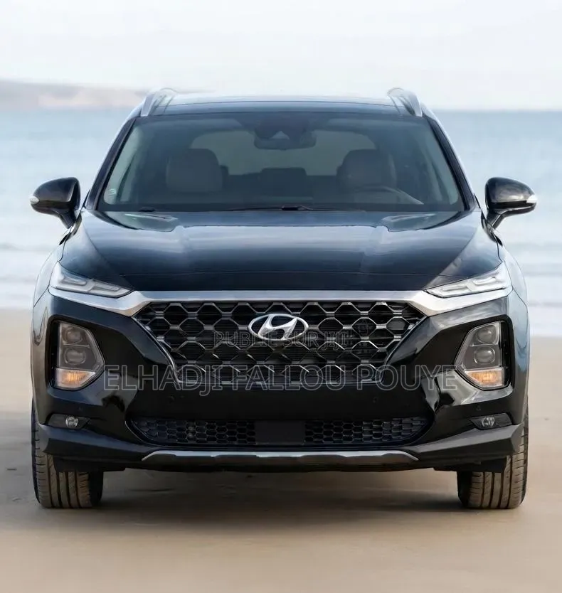 Hyundai Santa Fe 2019 Noir