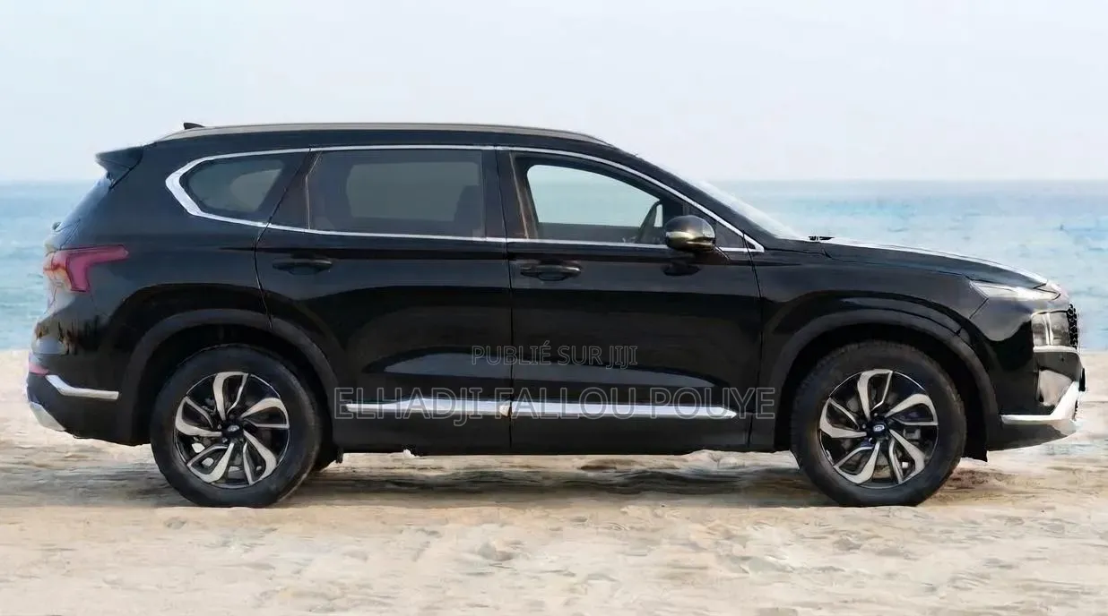 Hyundai Santa Fe 2019 Noir