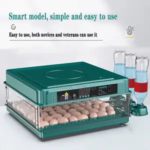 Couveuse Automatique 38 Œufs - Taux d'Éclosion 98%(Poulet & Volailles)