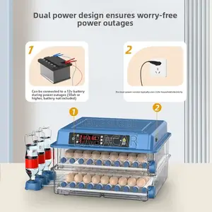 Couveuse Incubateur Automatique 100 Œufs - Double Alimentation