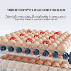 Couveuse Incubateur Automatique 100 Œufs - Double Alimentation