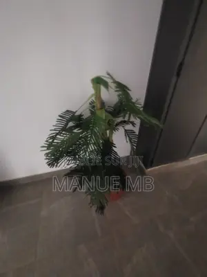 2chbre Appartement dans Patricia, Fann-Point E-Amitié à Louer