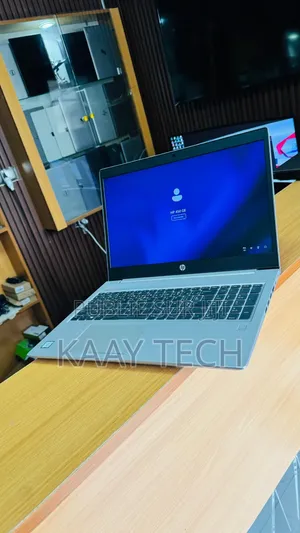 Nouveau HP ProBook 450 G6 16GB Intel Core i7 HDD+SSD 1.5T