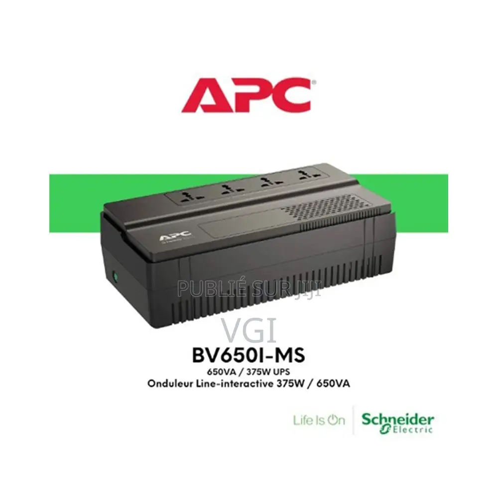 Onduleur APC Easy Ups Bv650i 650 Va
