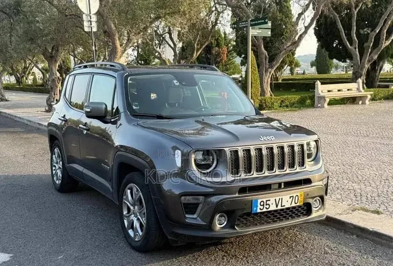 Jeep Renegade 2018 Gris