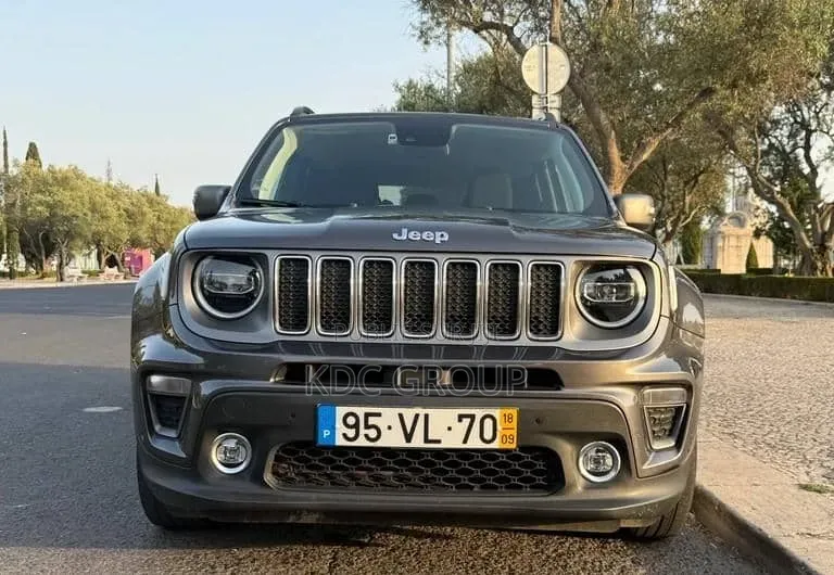 Jeep Renegade 2018 Gris