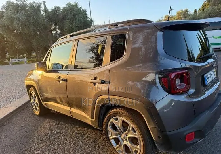 Jeep Renegade 2018 Gris