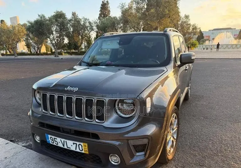 Jeep Renegade 2018 Gris