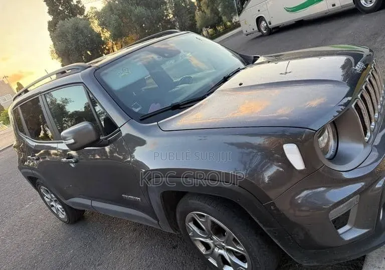 Jeep Renegade 2018 Gris