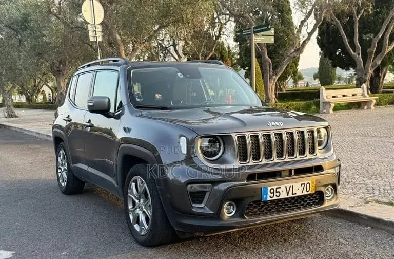 Jeep Renegade 2018 Gris