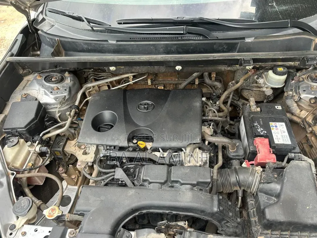 Toyota RAV4 2020 Gris