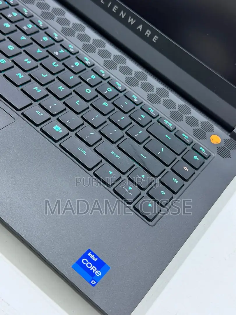 Nouveau Dell Allenware M15 R5 16GB Intel Core i7 SSD 1T