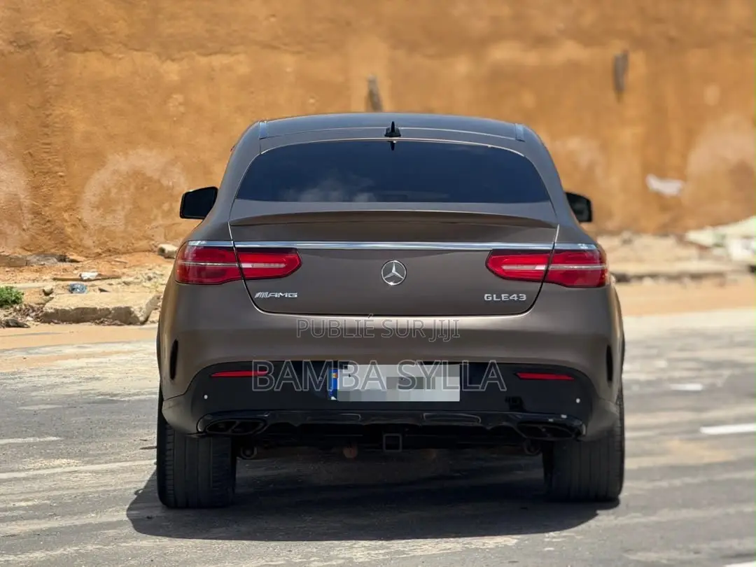 Mercedes-Benz GLE-Class AMG GLE 43 4MATIC 2019 Marron