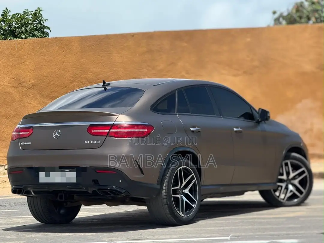 Mercedes-Benz GLE-Class AMG GLE 43 4MATIC 2019 Marron