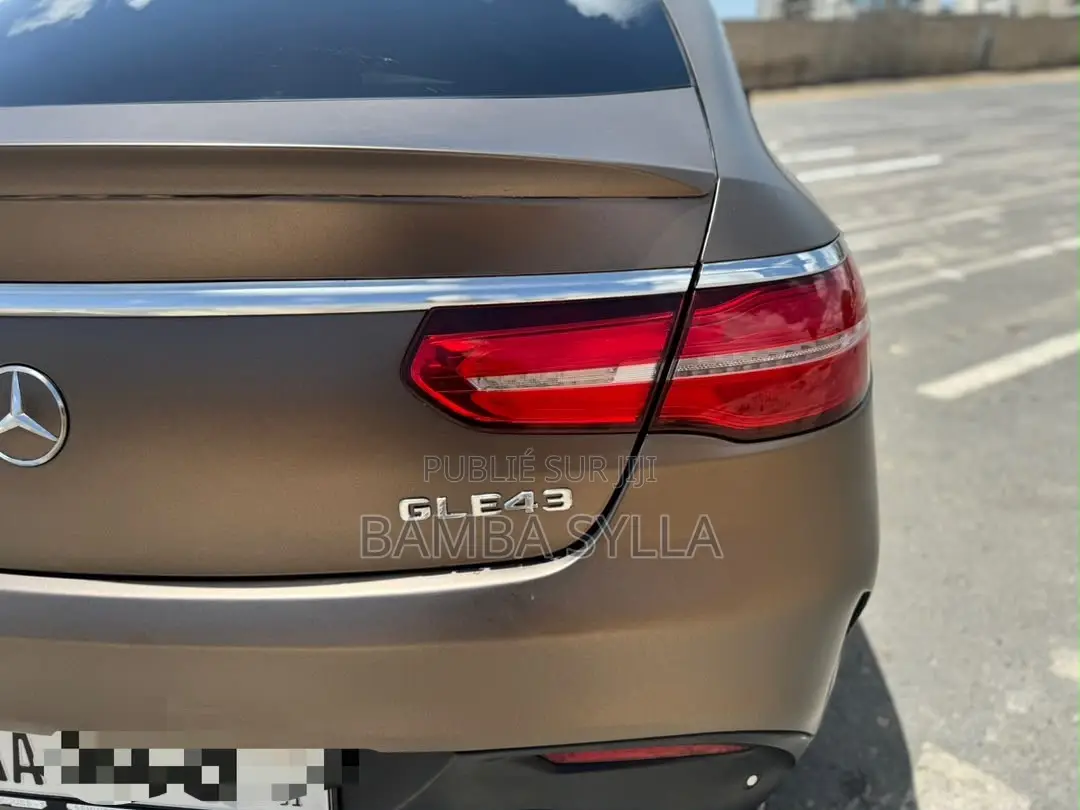 Mercedes-Benz GLE-Class AMG GLE 43 4MATIC 2019 Marron