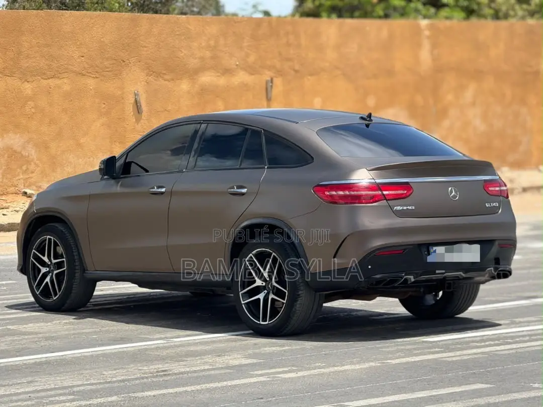 Mercedes-Benz GLE-Class AMG GLE 43 4MATIC 2019 Marron