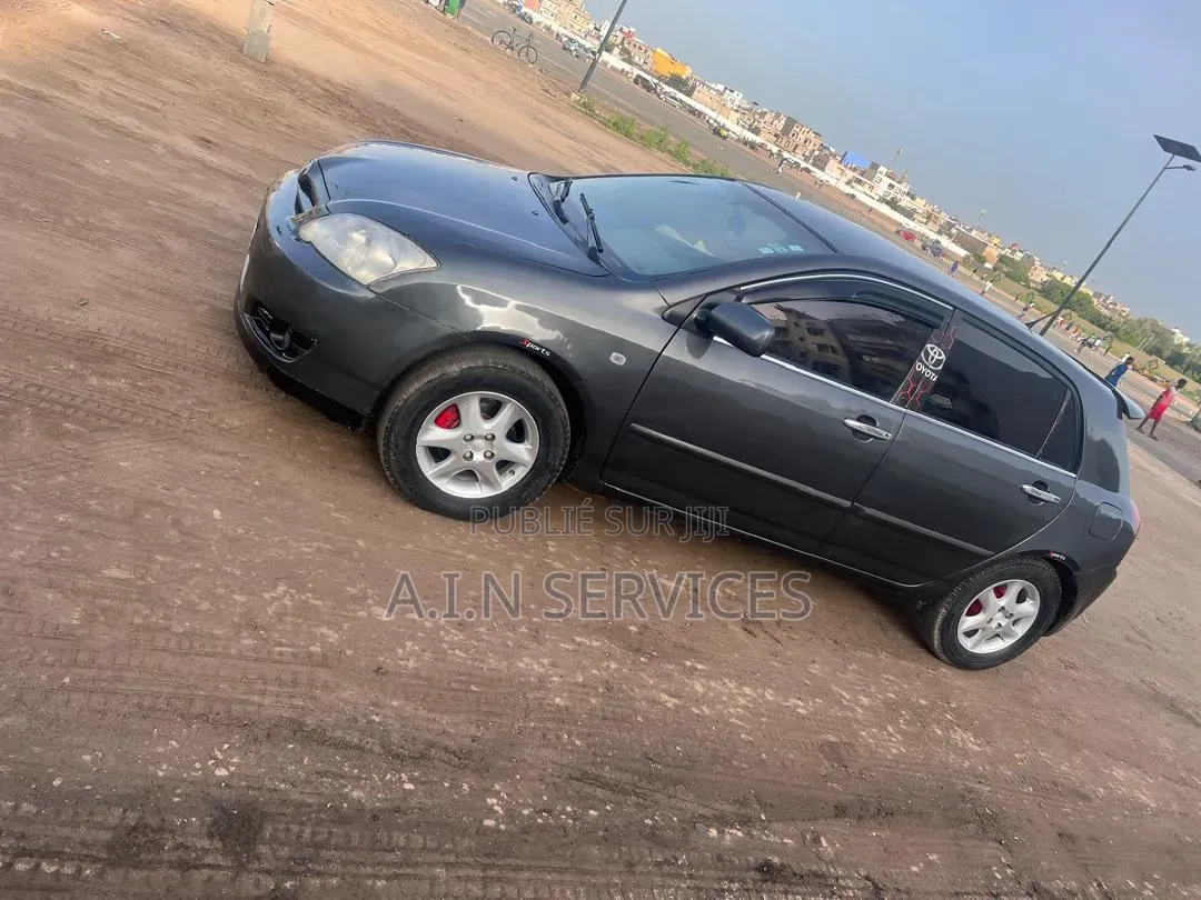 Toyota Corolla 2007 Gris