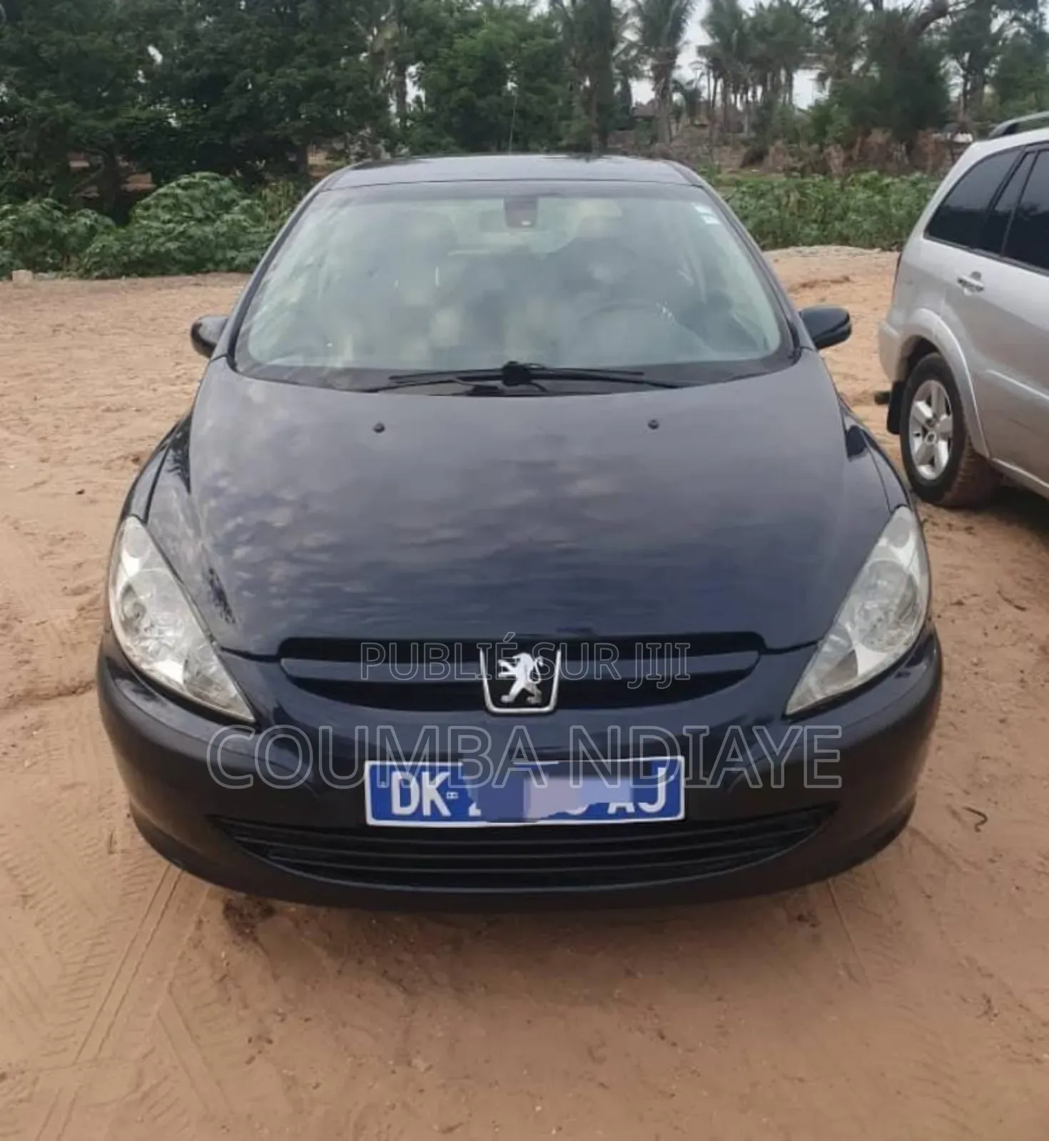 Peugeot 307 2008 Bleu
