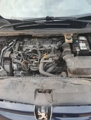 Peugeot 307 2008 Bleu