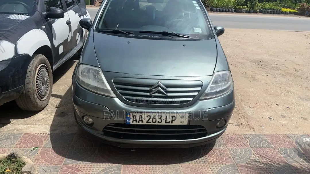 Citroen C3 2009 Gris