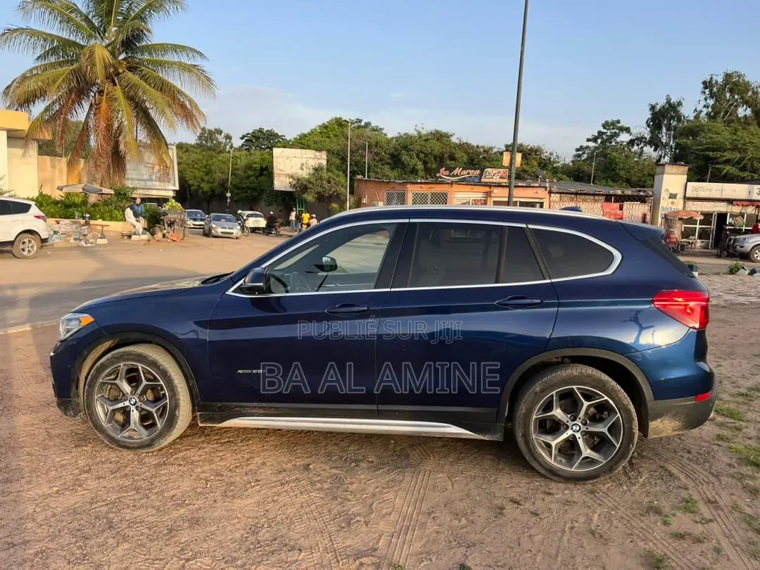 BMW X1 2017 Bleu
