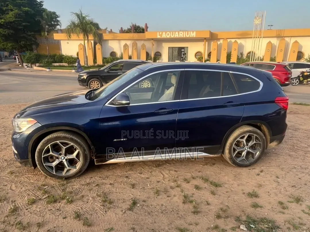 BMW X1 2017 Bleu