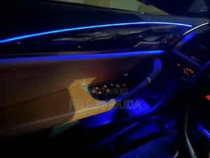 BMW X4 2019 Gris
