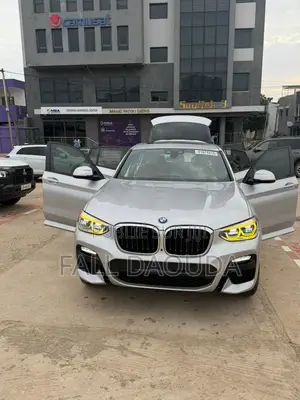 BMW X4 2019 Gris