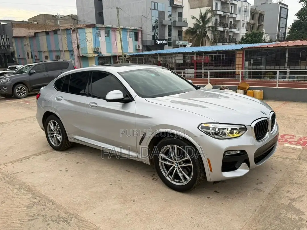BMW X4 2019 Gris