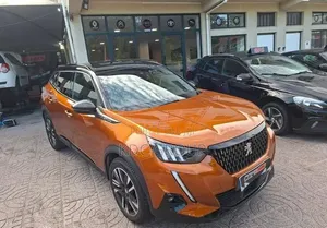 Peugeot 2008 2020 Autre