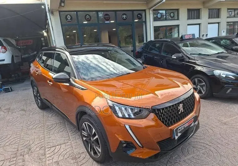 Peugeot 2008 2020 Autre