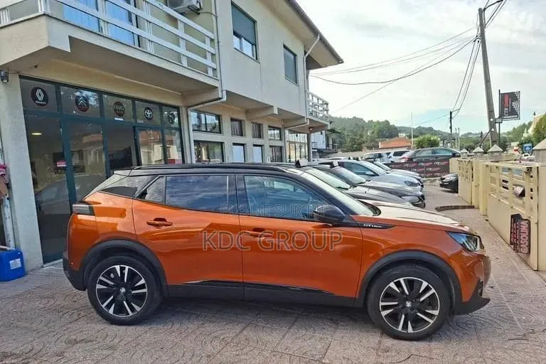Peugeot 2008 2020 Autre