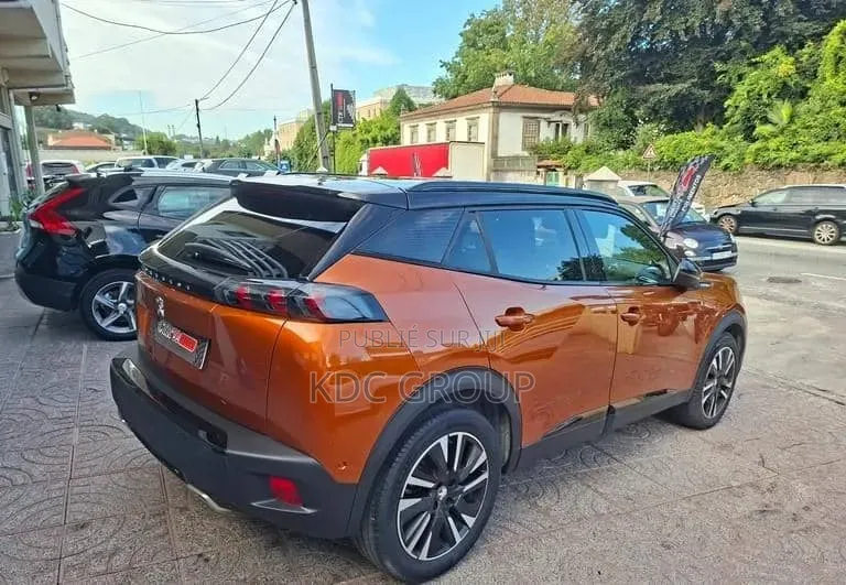 Peugeot 2008 2020 Autre