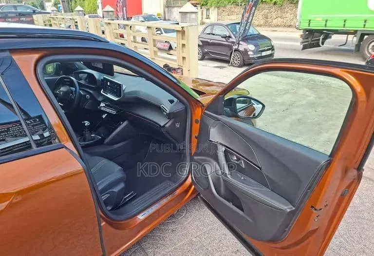 Peugeot 2008 2020 Autre