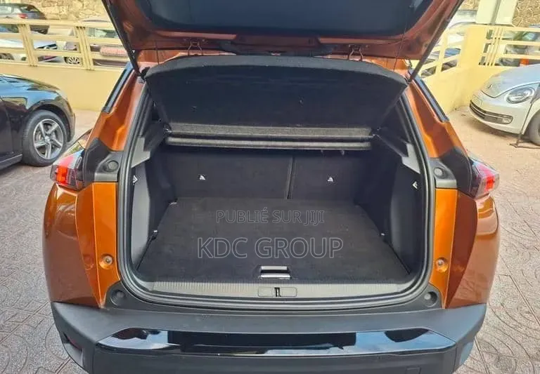 Peugeot 2008 2020 Autre