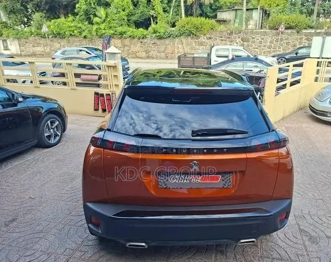 Peugeot 2008 2020 Autre