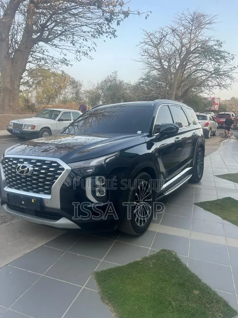 Hyundai Palissade 2019 Noir