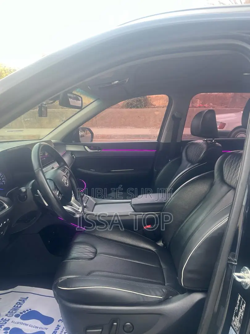 Hyundai Palissade 2019 Noir