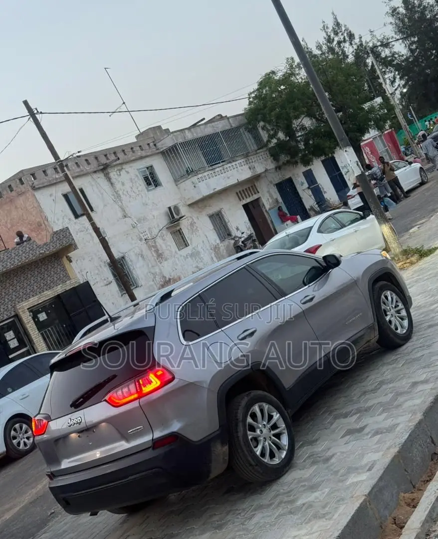Jeep Cherokee Limited 4x4 2019 Gris