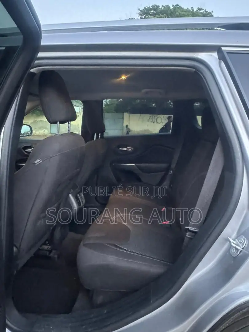 Jeep Cherokee Limited 4x4 2019 Gris