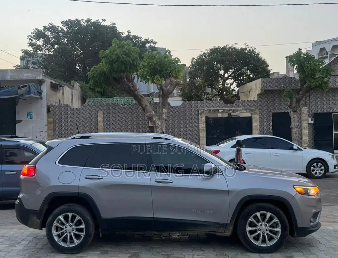 Jeep Cherokee Limited 4x4 2019 Gris
