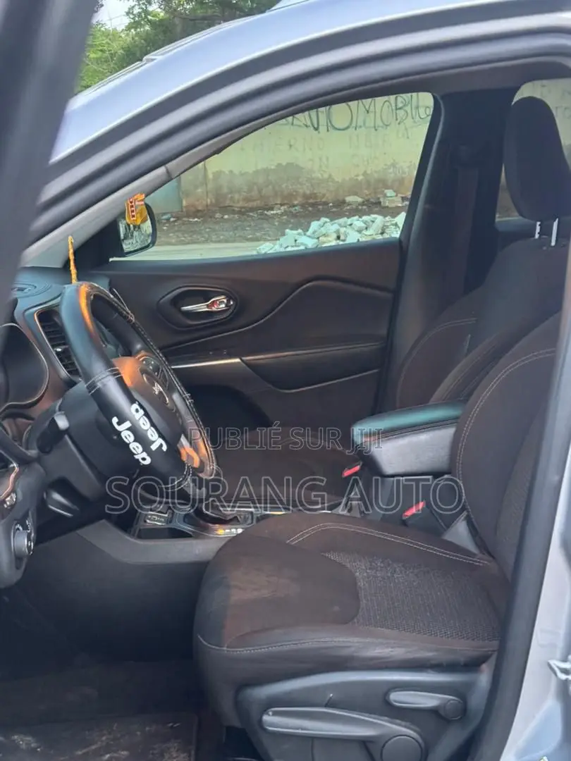Jeep Cherokee Limited 4x4 2019 Gris