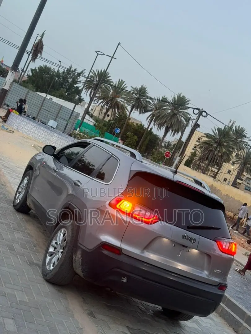Jeep Cherokee Limited 4x4 2019 Gris