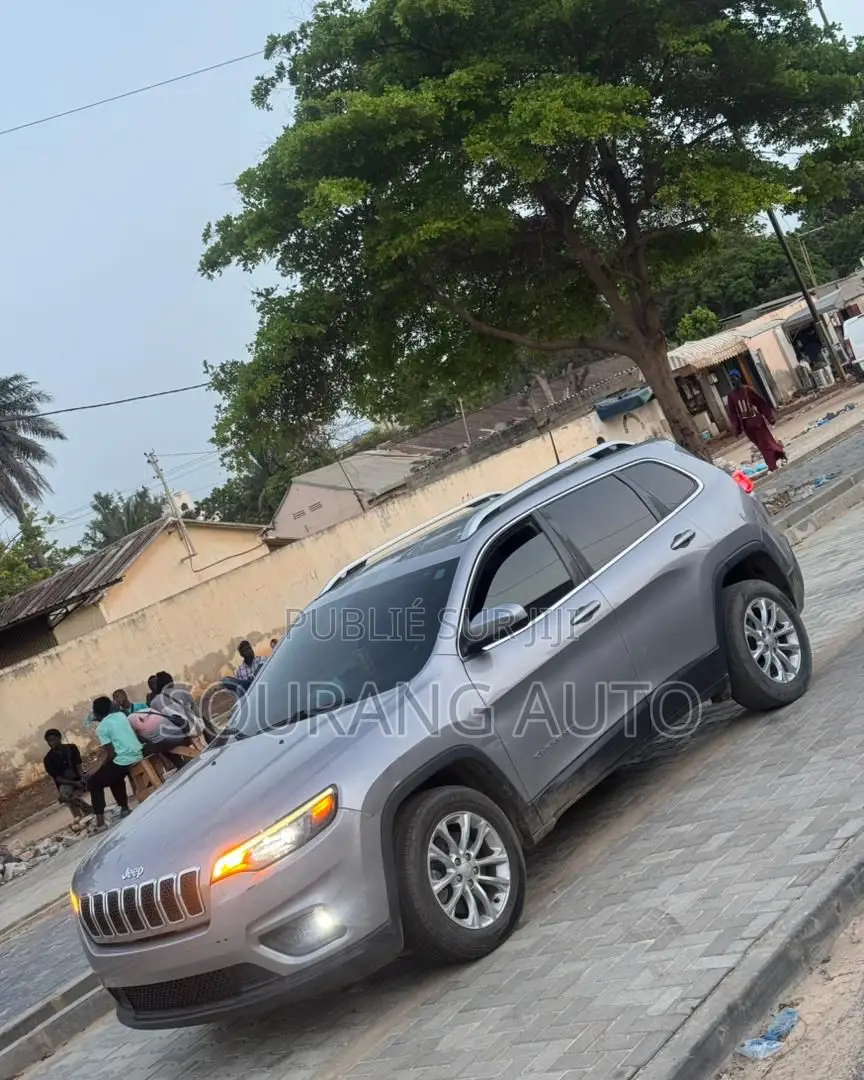 Jeep Cherokee Limited 4x4 2019 Gris