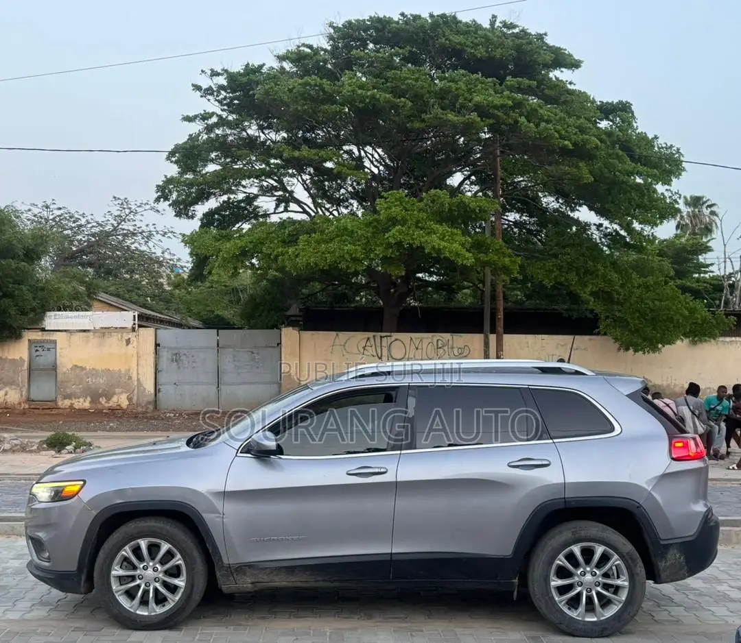 Jeep Cherokee Limited 4x4 2019 Gris