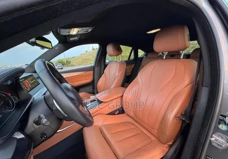 BMW X6 2016 Gris