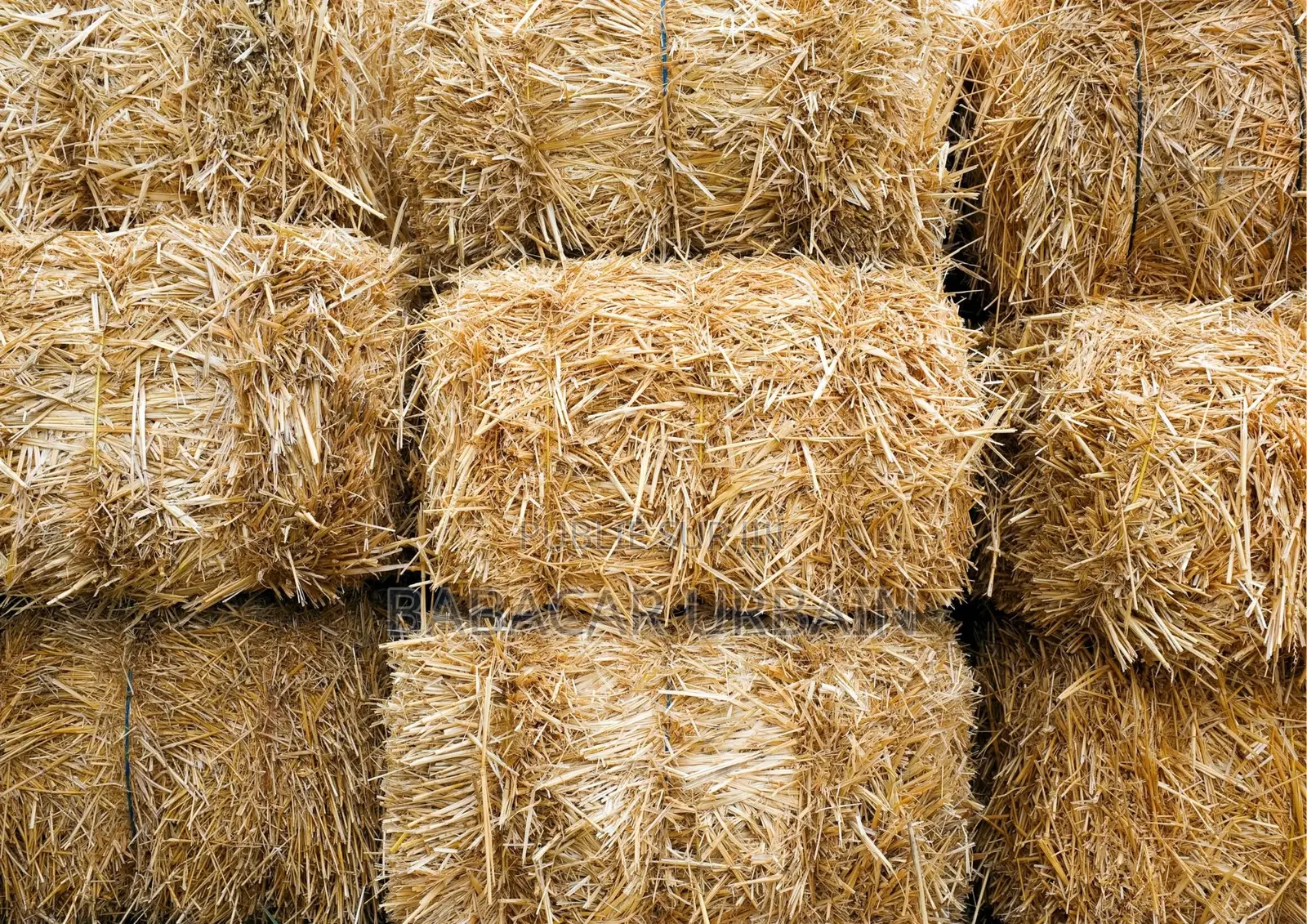 Bottes De Pailles De Riz