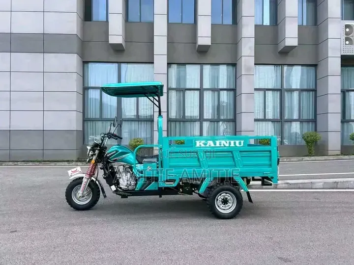 Nouveau Tricycle Autre 2025 Vert