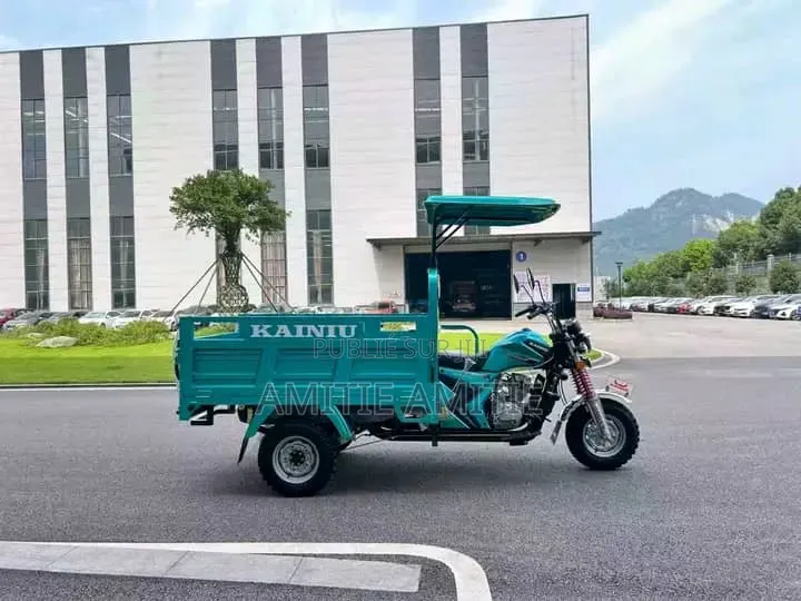 Nouveau Tricycle Autre 2025 Vert
