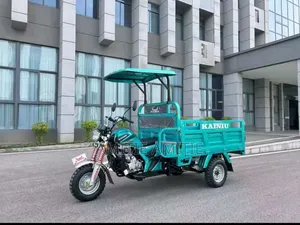 Nouveau Tricycle Autre 2025 Vert